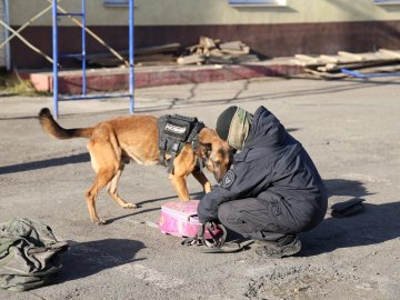 День призывника