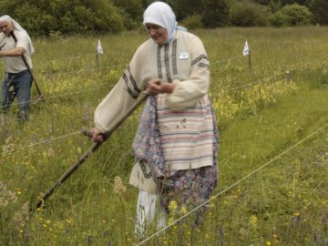 День косаря в Горноуральском городском округе 