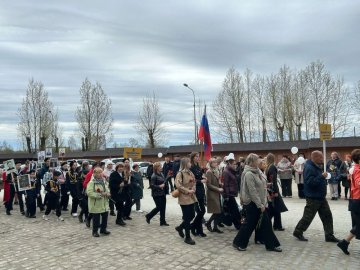 Районное памятное мероприятие, посвященное 80-й годовщине Победы в Великой Отечественной войне 1941-1945 годов