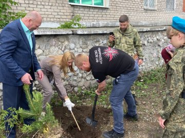 Аллея Героев в Горноуральском городском округе